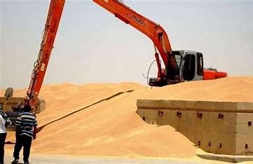 التجارة تعلن تحقيق الاكتفاء الذاتي من محصول الحنطة